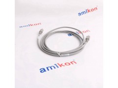 霍尼韦尔 控制卡件	CC-PAIH02图1