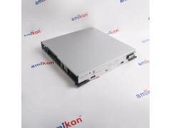 霍尼韦尔 IO卡件CC-PAIH01图2