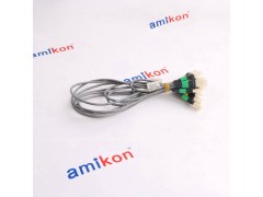 霍尼韦尔 PMIO电源模块51198947-100图3