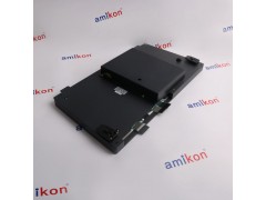 霍尼韦尔 数字输出MC-PDOY22图1