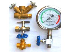 船用压力表阀CB312-1997图4