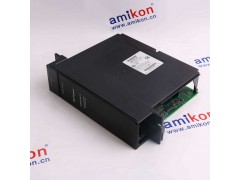 GE 高容量电池|IC695ACC402图2