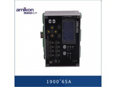 本特利 1900'65A图3