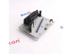 霍尼韦尔T8850 40通道AO/DO接线端子板图2