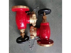 船用日标铸铁青铜消防阀JIS F7333 F7334图2