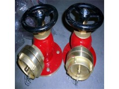 船用日标铸铁青铜消防阀JIS F7333 F7334图4