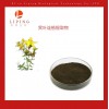 贯叶连翘提取物金丝桃素0.3%UV  植物提取物粉末