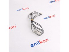 霍尼韦尔数字输出模块T8451图1