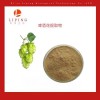 供应啤酒花提取物啤酒花黄酮5%10%黄腐酚5%
