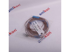 EPRO PR6426/010-000瓦振传感器艾默生图3