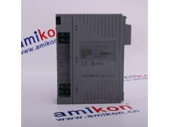 横河 AAI143-S00 S1图1