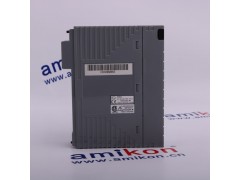 横河 AAI143-S00 S1图2