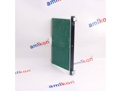 GE,IS200ERDDH1A IS200ERDDH1ABA图2