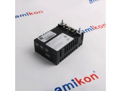 GE,IS220PAICH1B图2