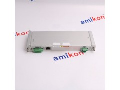 本特利,146031-01图3