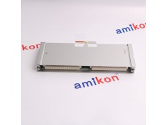 本特利,146031-01图5