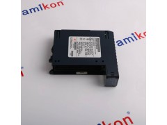 GE IC693ACC302图3
