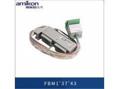 福克斯波罗FBM212图5