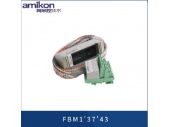 福克斯波罗FBM212图4
