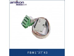 福克斯波罗FBM212图2