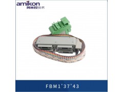 福克斯波罗FBM212图3