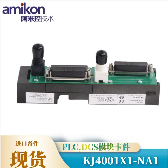 EMERSON,KJ4001X1-NA1（1）