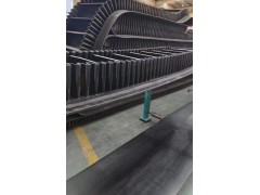 耐撕裂大倾角裙边带 耐高温挡边带 大倾角提升带图3