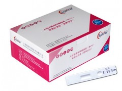 人绒毛膜促性腺激素定量检测试剂盒生产厂家上海凯创生物