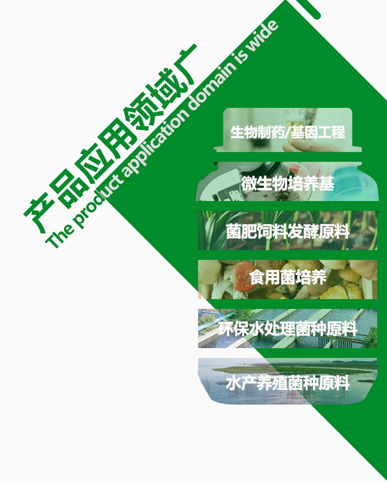 大豆蛋白胨详情_10