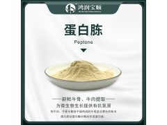 蛋白胨Y001A(试剂级)生化试剂培养基原料 发酵氮源图2