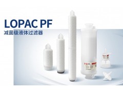 高通量液体过滤器 高载量液体澄清过滤器除菌级滤芯完整性测试仪图3