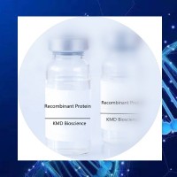重组人CD28蛋白|CD28|生物素化重组人CD28蛋白