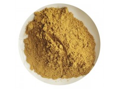 橄榄提取物:橄榄苦甙20% 羟基酪醇20%图2