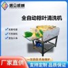 糯米粽加工设备大粽叶双层毛辊清洗机芦苇叶芭蕉叶荷叶自动洗叶机