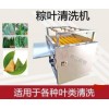 全自动粽叶清洗机 商用芦苇叶毛辊洗叶机 芭蕉叶喷淋式清洗设备