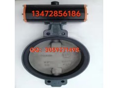原装正品德国依博罗角行程电动执行器 E50-E210规格齐全图3