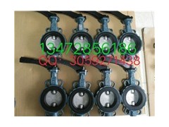 原装正品德国依博罗角行程电动执行器 E50-E210规格齐全图4