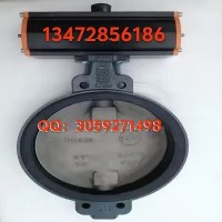 保证原装正品Z011-A依博罗EBRO气动蝶阀规格齐全速发货